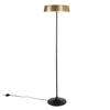 China LED Floor Lamp