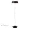 China LED Floor Lamp