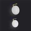 Alba Wall Light