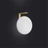 Alba Wall Light - Small