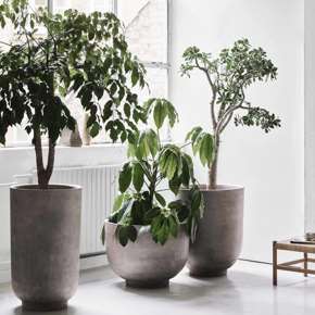 Picture for category Decor