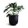 Castle Planter - Medium Black