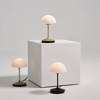 Pensee Table Lamp