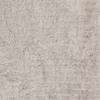 Roxy Area Rug Beige