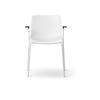 Pato Dining Armchair Polypropylene Shell 4210