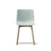 Pato Dining Chair Wood Base Polypropylene Shell