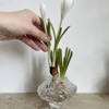 HEIN STUDIO Canyon Vase Clear Mini