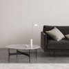 Floema Coffee table with Grey marble top