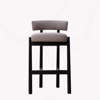 Dalya Counter Bar Chair