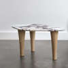 Petra Coffee Table