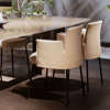 Ayra Dining Armchair 