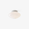 Mist Wall Ceiling Lamp AP22