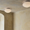Mist Wall Ceiling Lamp AP22